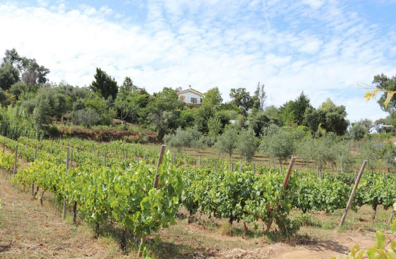 Вилла Quinta De S. Luis - Valada Фигейро-душ-Виньюш Экстерьер фото
